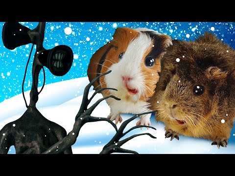 Видео: СИРЕНОГОЛОВЫЕ ВЕРНУЛИСЬ в НАМ ВДВОЕМ. Свинка Бузя