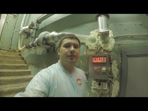 Видео: Бизнес в гараже | Выращивание шампиньонов | Полив. Рыхление