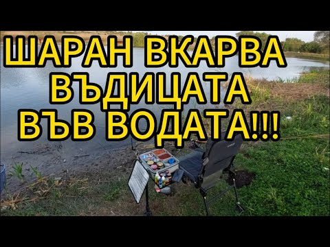 Видео: МЕТОД ФИДЕР-ШАРАН ВКАРВА ВЪДИЦАТА във ВОДАТА-СТРАННИ КЪЛВАНЕТА!!!