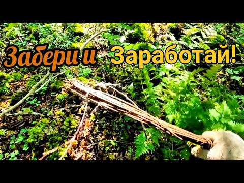 Видео: Этот металл лежит у всех на глазах, просто забери его!