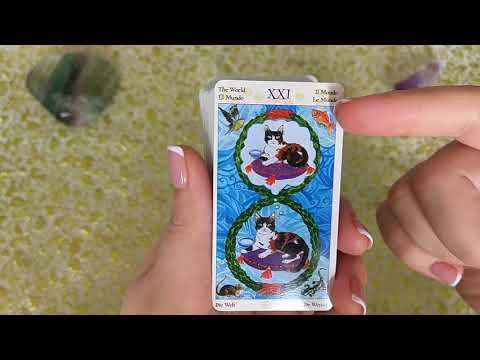 Видео: Таро Языческих Кошек. Обзор+Бонус. Совет Карт.