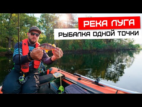 Видео: Луга, аномальный уровень воды в реке. Рыбы мало, но я смог её найти!