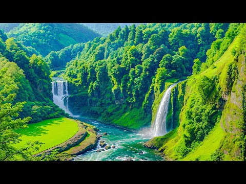 Видео: Мощная целебная релаксация при тревожных расстройствах, стрессе и хронической усталости