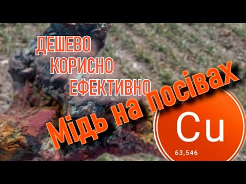 Видео: Мідь на посівах. Дешево. Корисно. Ефективно.