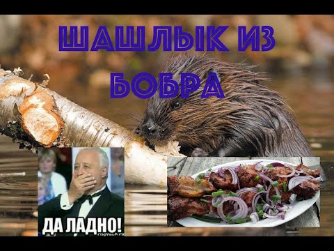 Видео: Дикая кухня #1 Шашлык из бобра