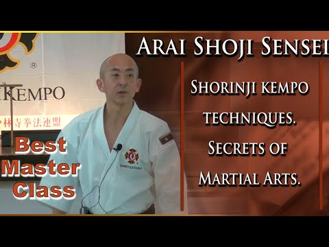 Видео: Техники Сёриндзи Кэмпо. Секреты боевых искусств. Мастер класс, сенсея Арая.