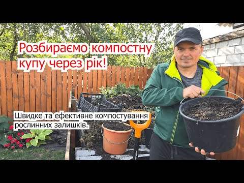 Видео: Розбираємо купу з компостом- не добриво, а золото! Гарний компост за рік.