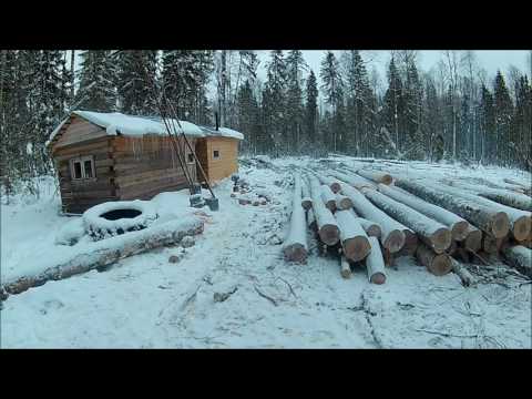 Видео: Работаем в лесу, трудовые будни, ремонт техники, трелёвка Т-40