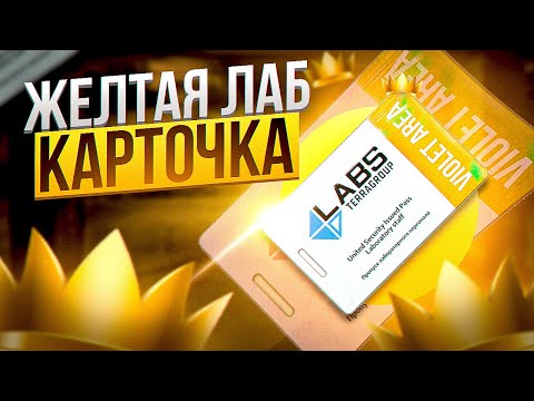 Видео: Проверка ЖЁЛТОЙ КАРТЫ |Сколько смог ЗАРАБОТАТЬ?|