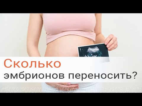 Видео: Перенос эмбрионов: одного или двух?