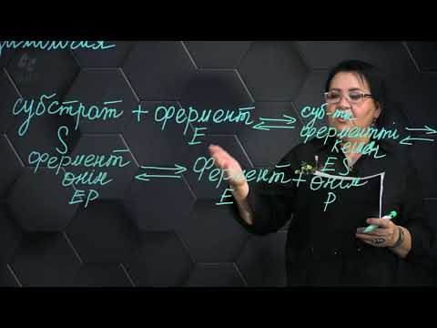 Видео: Ферменттің өзара әрекеттесуі. 1 бөлім. 11 сынып.