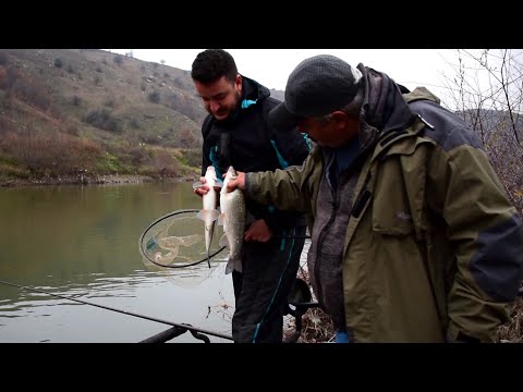 Видео: Време за трофейни скобари - част 1