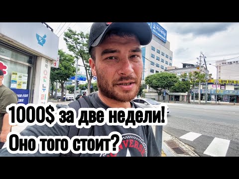 Видео: Работаю в Корее 2 | 1000$ за две недели адской работы | Личный опыт