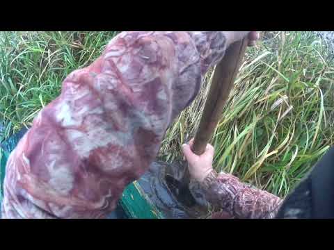 Видео: ОХОТА НА БОБРА КАПКАНАМИ. Ставлю по совету подписчика.#охотанабобра#охотанабобракапканами#охота