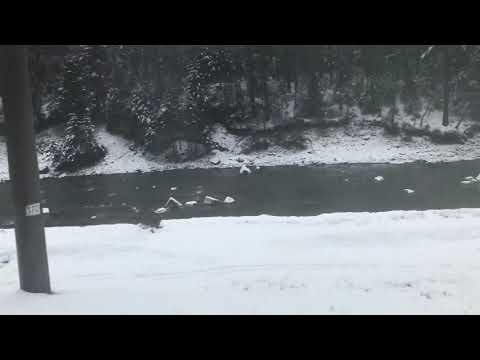 Видео: р.п. №821 Львів - Ужгород