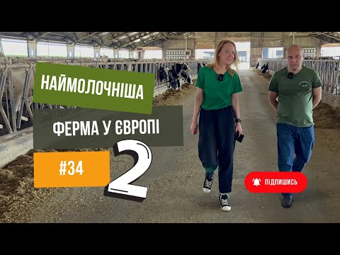 Видео: #34 Наймолочніша 🐄 ферма у Європі -2 частина.  Розкажемо, як годують та доять корів 🐮