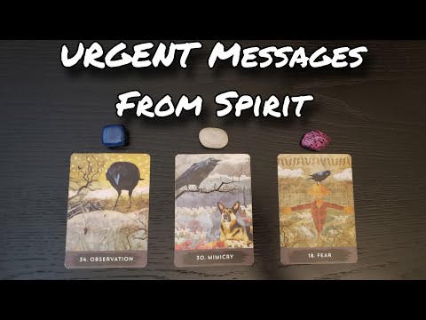 Видео: 🌟🚨 СРОЧНЫЕ послания от духа | Гадание на картах
