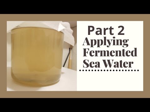 Видео: Применение ферментированной морской воды. Часть 2