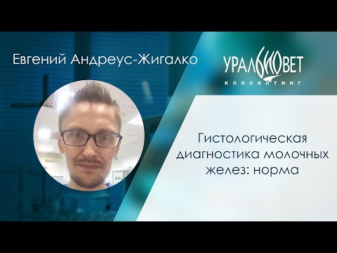 Видео: Гистологическая диагностика молочных желез: норма, лектор Евгений Андреус-Жигалко