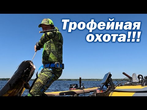 Видео: ПОДВОДНАЯ ОХОТА НА ПРОСВЕТ!!! ПОИСК РАНЕННОГО МОНСТРА!!!