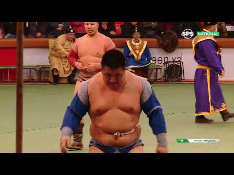 Видео: Үндсэн хуулийн өдөрт зориулсан барилдааны шилдэг 10 /2022.01.13/