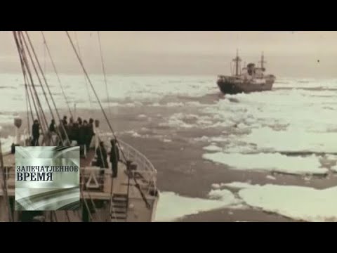 Видео: Антарктида без романтики / Запечатленное время