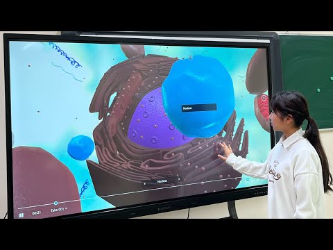 Видео: Жаңа форматтағы биология сабағы, STEM оқыту. Практикалық сабақ. Нуркиясова Э.К