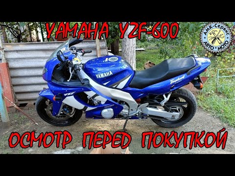 Видео: Oсмотр перед покупкой  Yamaha YZF600 Thundercat