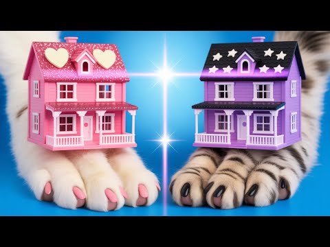 Видео: Мои питомцы сразились 🐈🐕 | Кошка VS Собака, Кто настоящий король дома?