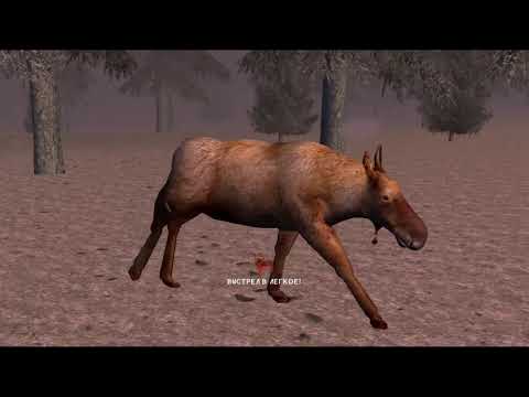 Видео: Hunting Unlimited 2009 Прохождение 27. Уровень 5. Добыча охотника