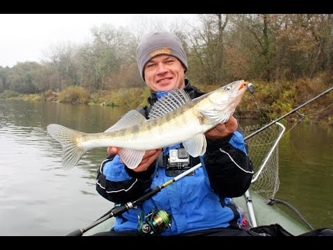 Видео: Ловля судака и окуня на джиг. Рыбалка на Десне.