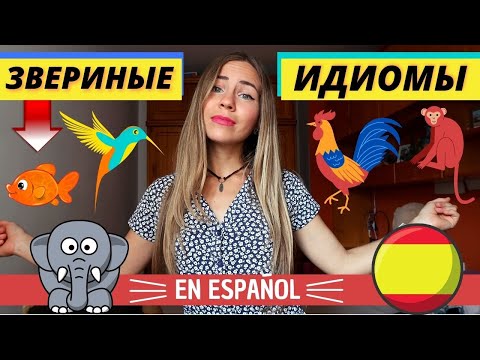 Видео: 13 звериных устойчивых выражений на испанском языке (разговорные выражения с глаголами ser и estar)