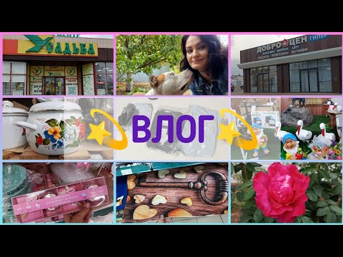 Видео: Оставленный пёс🐕?безумно красивый осенний сад🌹WB🫐ДОБРОЦЕН🛍️🛒супер крутой магазин-лабиринт УСАДЬБА🌿🤩