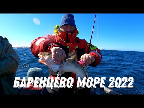 Видео: ТРЕСКА 2022!!! Рыбалка на Баренцевом Море 2022!!!