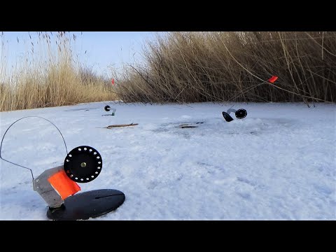 Видео: ВОТ ПОЧЕМУ НЕЛЬЗЯ ОСТАВЛЯТЬ ЖЕРЛИЦЫ! Рыбалка на УЗКИХ ПРОТОКАХ!