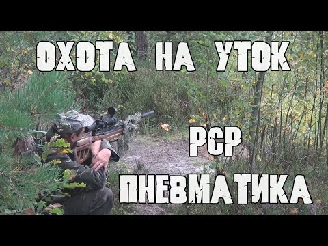 Видео: Охота на уток с PCP пневматикой 6.35 /Сентябрь 2021/.