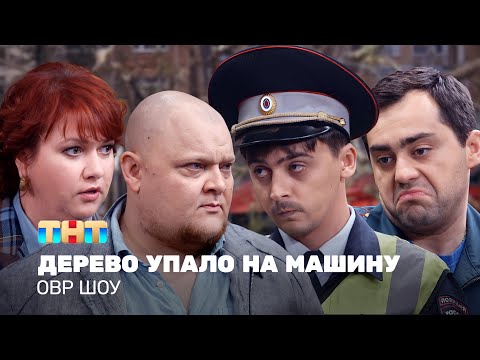 Видео: ОВР Шоу: Дерево упало на машину @ovrshow_tnt
