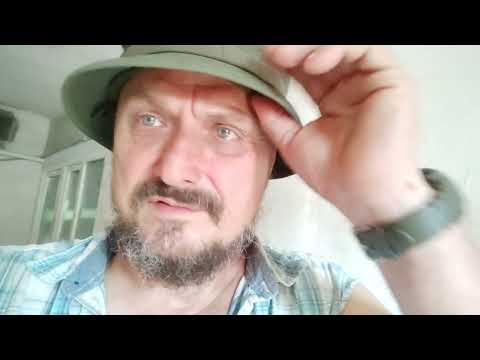 Видео: Як висушити гарбузове насіння з мінімальними вкладеннями