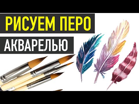 Видео: Как нарисовать ПЕРО АКВАРЕЛЬЮ