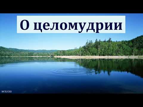 Видео: "О целомудрии". А. Карандашев. МСЦ ЕХБ