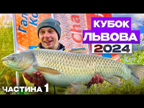 Видео: Кубок Львова 2024. Частина 1