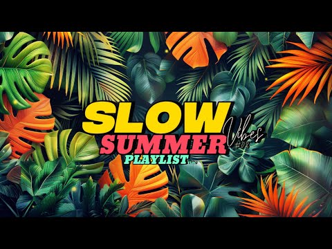 Видео: Расслабьтесь под этот летний музыкальный плейлист SLOW