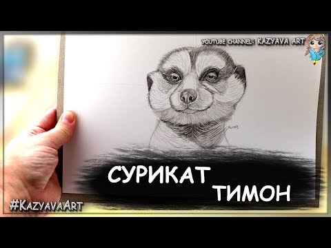 Видео: Как нарисовать суриката Тимона. Фильм Король лев