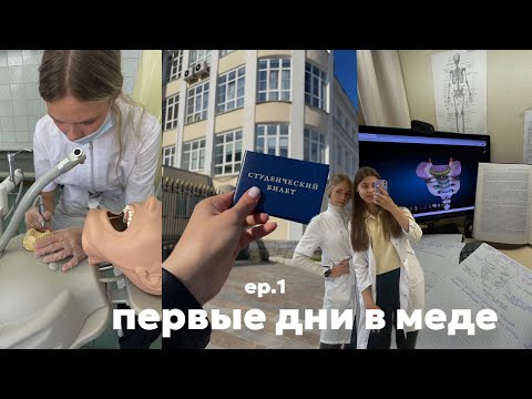 Видео: VLOG: начало 1 курса в меде // стомат 🦷👩🏻‍⚕️// моя адаптация к учебе