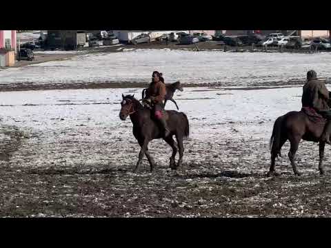 Видео: черна