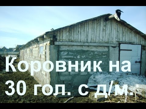 Видео: Обзор коровника с доильными местами. Однорядный брус/пеноблок 5 х 25 м.