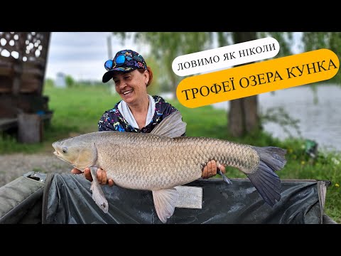 Видео: Трофейна рибалка на Кунці. Клюють справжні монстри. Big Fish 19.1 кг.
