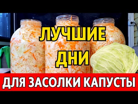 Видео: В НОЯБРЕ - когда СОЛИТЬ КАПУСТУ, чтобы была очень вкусной? Лунный календарь засолки капусты ноябрь