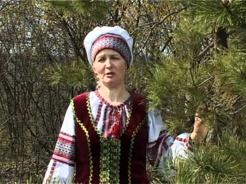 Видео: с. Жван та с. Надністрянське (Моє село - моя держава) ч 3