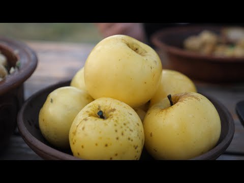 Видео: КВАШЕНІ ЯБЛУКА. Найпростіший рецепт. МОЧЕНІ ЯБЛУКА на зиму